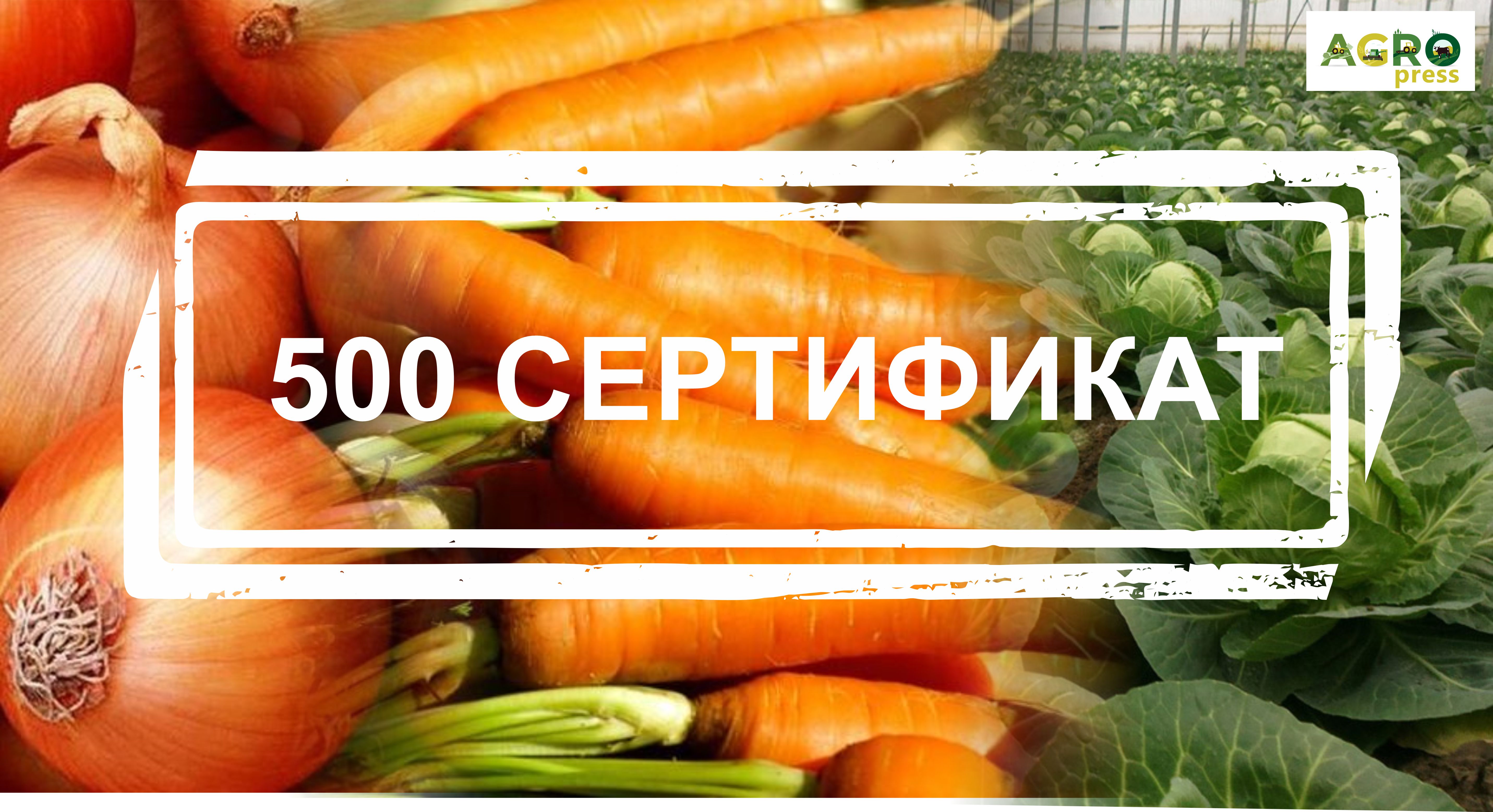 Фото При Получении Карты